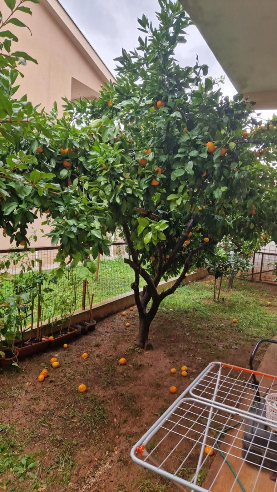 Čapljina Apartman Deluxe מראה חיצוני תמונה